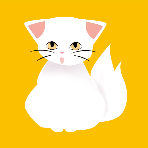 白色的猫图片下载