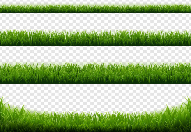 绿草边界与透明的背景图片下载