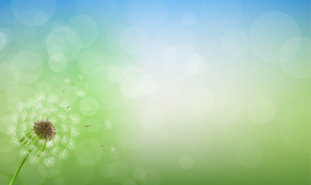 蒲公英与春天模糊的背景图片下载