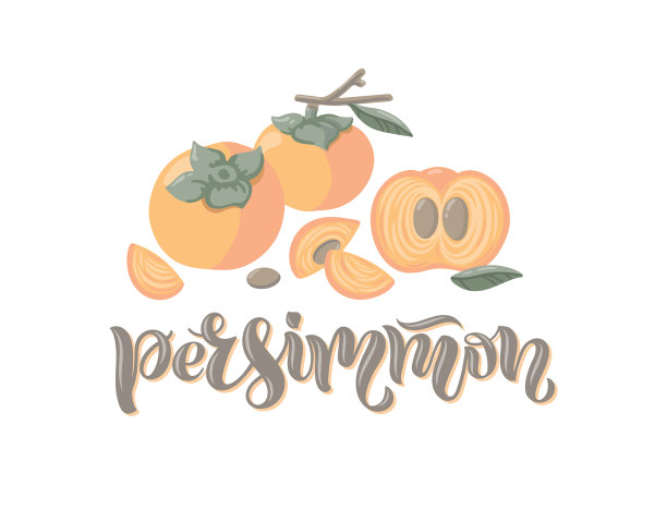 用柿子的枝条和切片图片下载