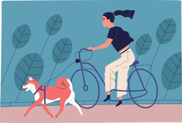 年轻女子骑着自行车在公园里遛狗图片下载