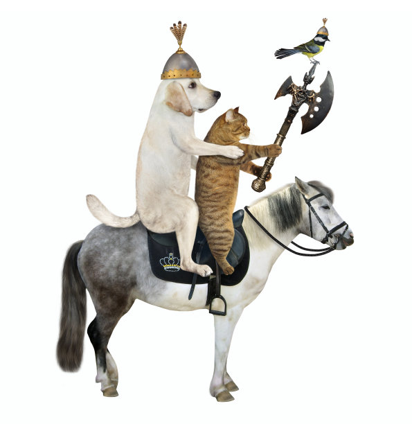 带着斧头的拉布拉多犬骑着马图片下载