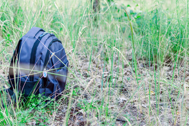 夏天的草地上背包。徒步旅行，户外活动概念。图片下载