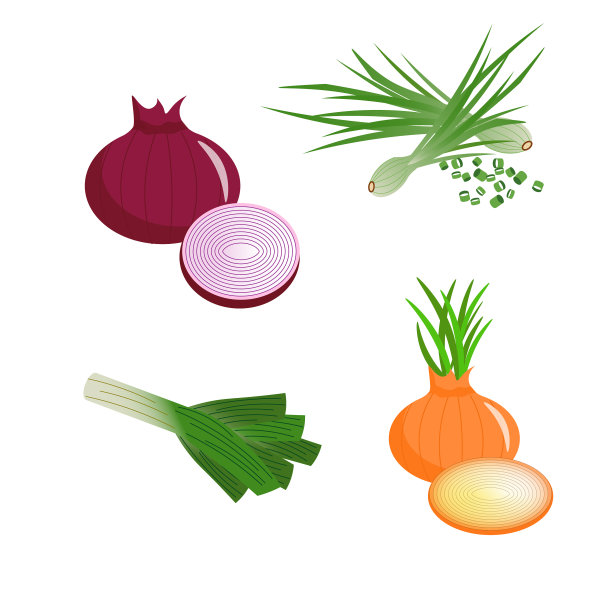 设置不同类型的洋葱-红绿色图片下载
