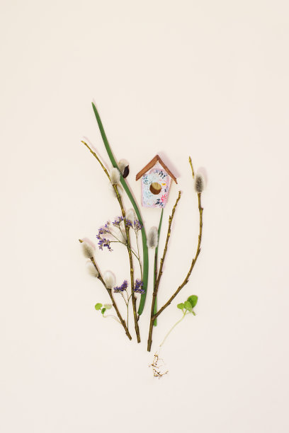 春天的贺卡与柳条，植物芽，鸟舍和花在米色的背景。立春，春耕。图片下载