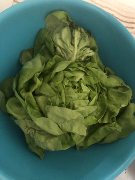 碗里的蔬菜沙拉图片下载