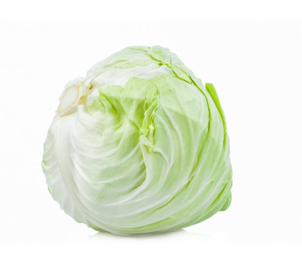 在白色背景上分离的卷心菜(芸苔属甘蓝变种)图片下载