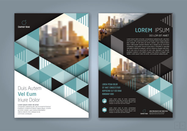 封面年报2010图片下载