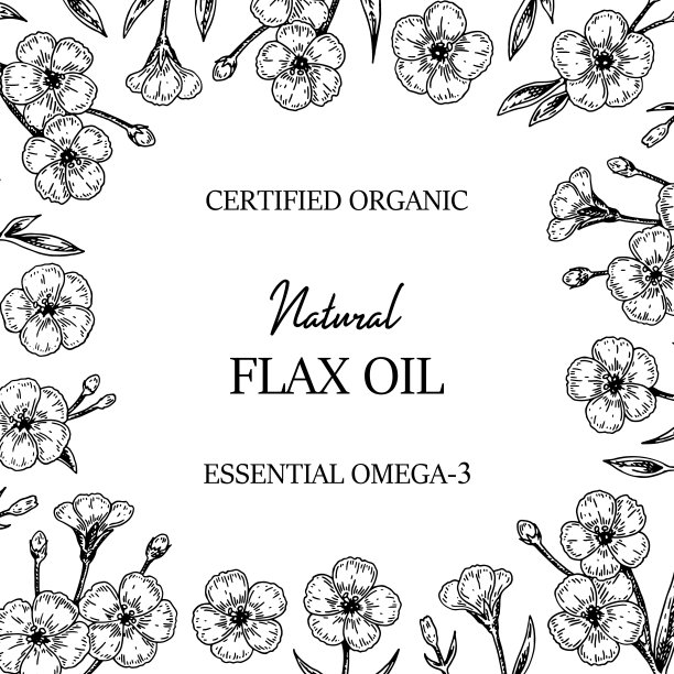 手拉亚麻框。矢量插图在草图风格为亚麻种子和油包装图片下载