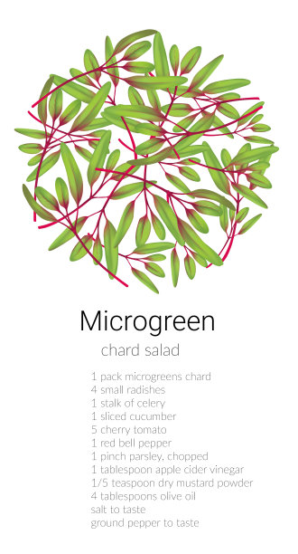 甜菜microgreen沙拉图片下载