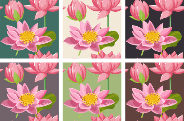 一套6个荷花，睡莲和睡莲，莲花无缝图案图片下载