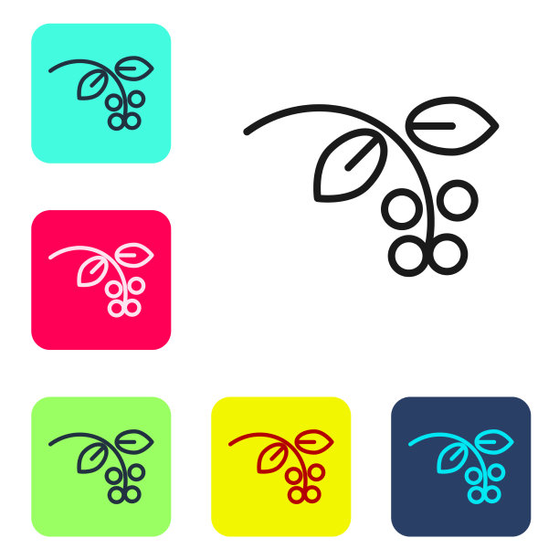 黑色线条的咖啡豆枝叶和浆果图片下载