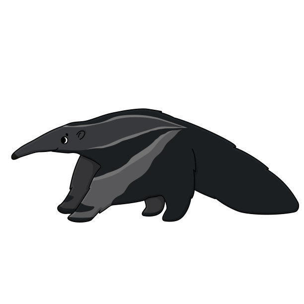 矢量灰色美丽的轮廓可爱毛茸茸的卡通孤立食蚁兽或食蚁兽。动物站起来向左看。手绘涂鸦插图白色背景，侧视图。图片下载