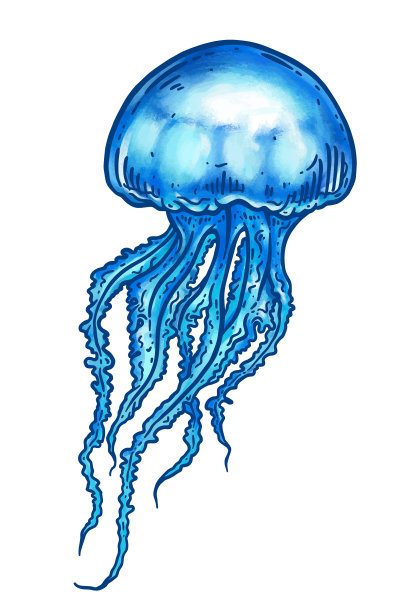 手绘孤立水母图片下载