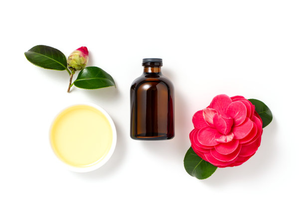 山茶油。护肤、护发的美容香薰油。图片下载