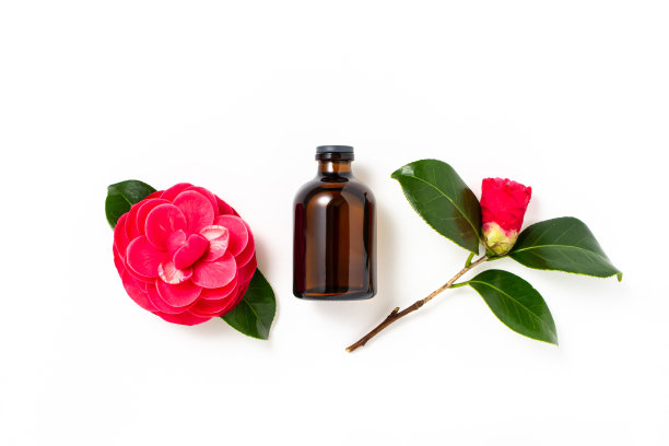 山茶油。护肤、护发的美容香薰油。图片下载