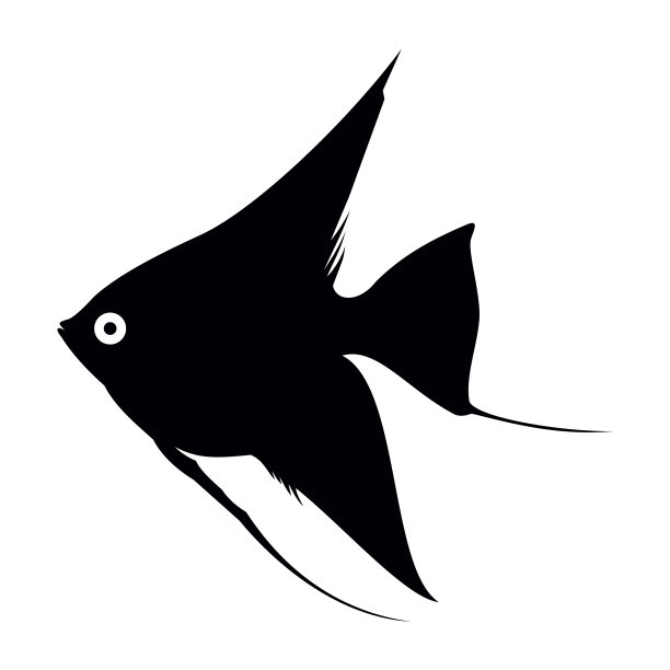 黑色水族箱鱼的轮廓孤立在白色上图片下载