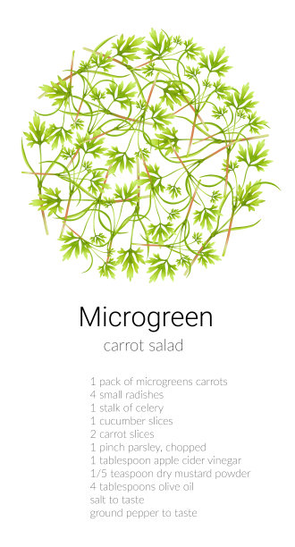 胡萝卜microgreen沙拉图片下载