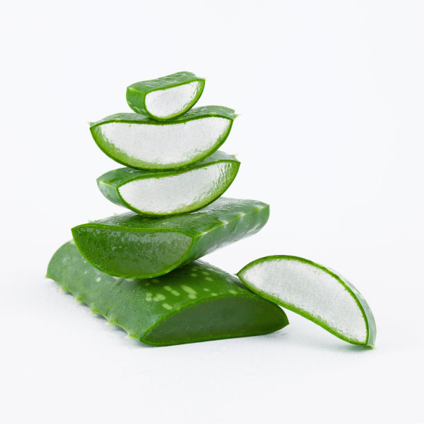 芦荟新鲜湿片图片下载