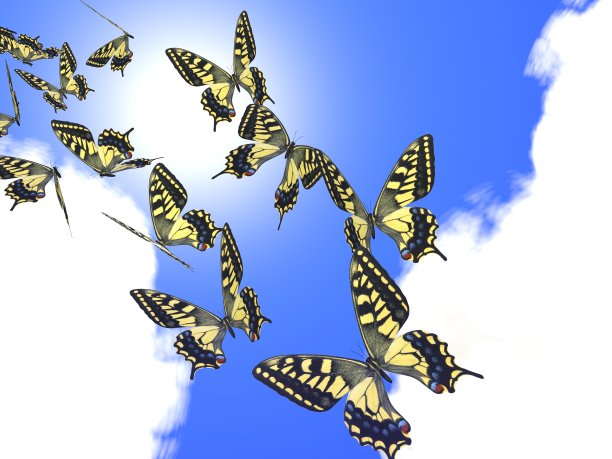 云和蝴蝶的梦幻风景图片下载