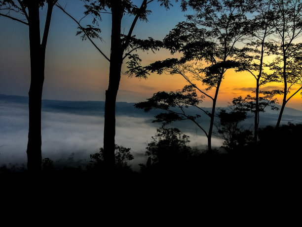 日出时山上树木的剪影图片下载