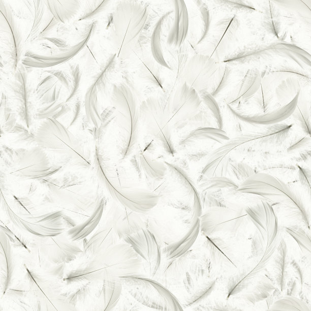 羽毛无缝。柔和的天使羽毛特写纹理落在白色背景图案墙纸。流行色彩趋势春夏。图片下载