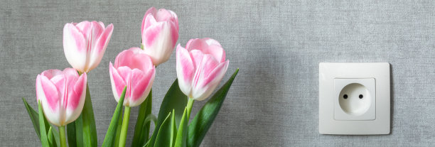 灰色墙上挂着一束粉色郁金香和一个插座。家用电器在家居空间的使用安全概念。图片下载