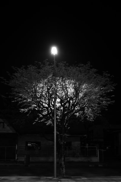 抽象美丽的黑白背景单色图片图片下载