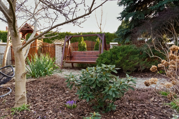 早春用秋千和泥土覆盖着树皮图片下载