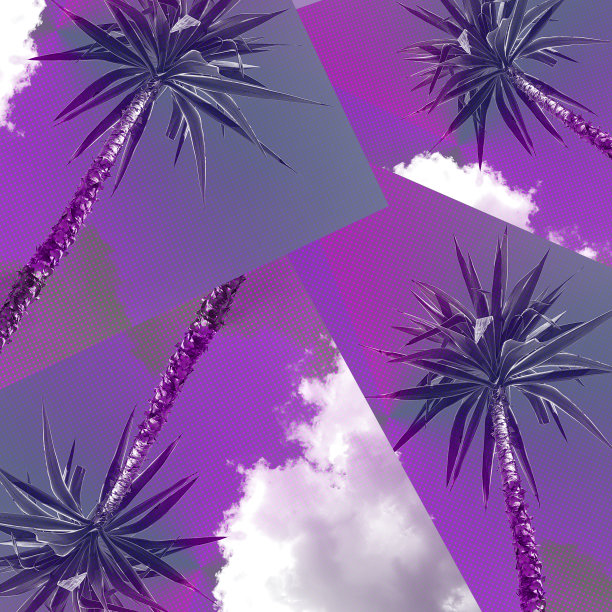 天空映衬着棕榈树，霓虹般的云彩图片下载