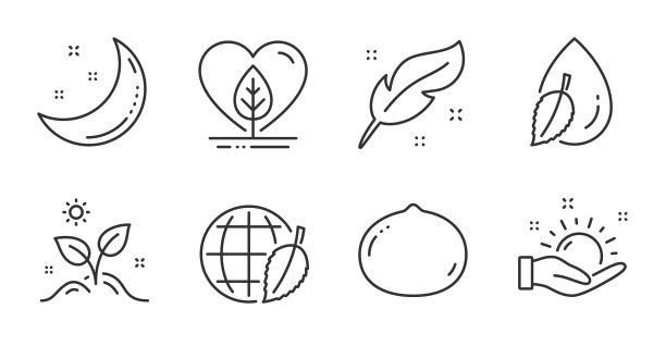 羽毛本地生长和阳光明媚的天气图标集图片下载