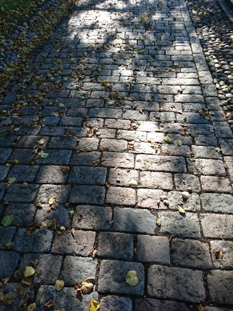 铺好的小路上的阴影图片下载