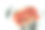 新鲜、成熟、美味的盒装草莓。俯视图图片下载