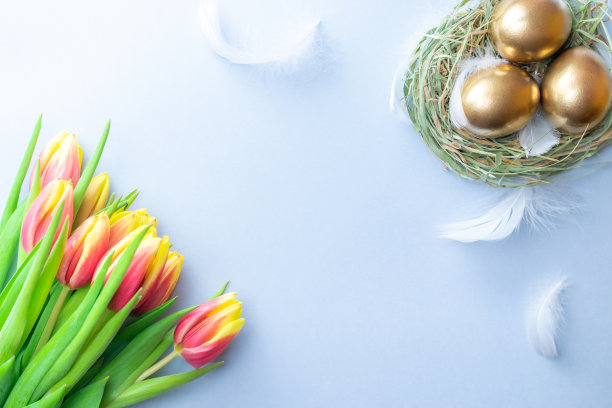 复活节彩蛋金色的篮子与春天的郁金香，白色羽毛在柔和的蓝色背景在复活节装饰。节日装饰平铺。图片下载