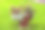 公园里的花盆里有白色和红色的花图片下载