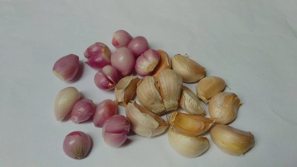洋葱和大蒜图片下载