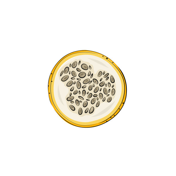 百香果手绘百香果图片下载