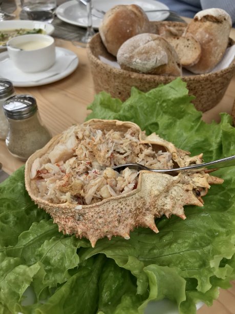 蜘蛛蟹图片下载