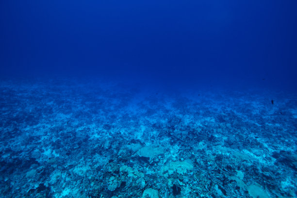 深海水下摄影图片下载