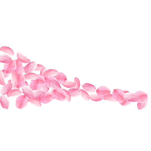 樱花花瓣飘落浪漫的粉红色明亮图片下载