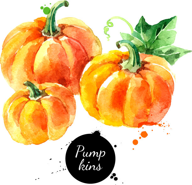 水彩手绘素描感恩节快乐图片下载