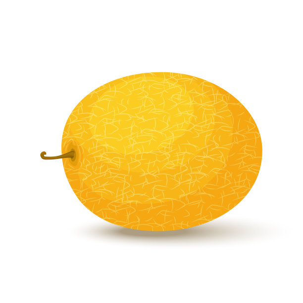 鲜全瓜果实孤立在白色背景上。蜜瓜。夏日水果，健康生活方式。有机水果。卡通风格。矢量插图为任何设计。图片下载