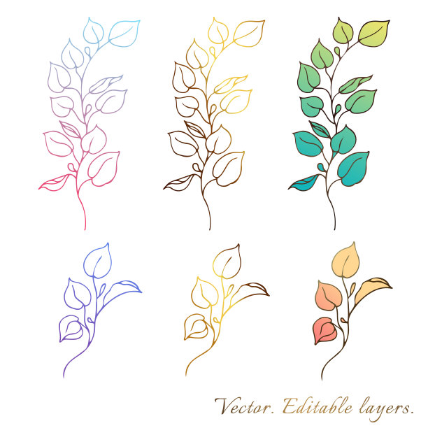 植物线黄金向量。集植物设计元素的树枝和树叶。渐变现代填充元素。完美的标志，品牌，邀请和明信片。图片下载