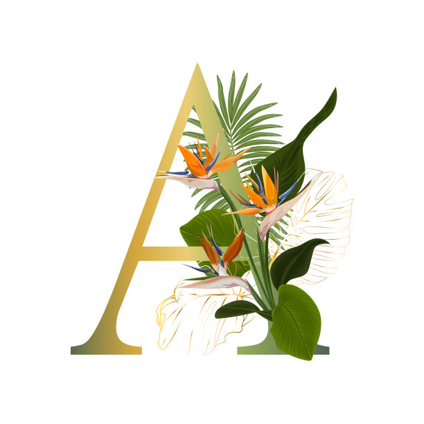 热带花卉字母表。图片下载