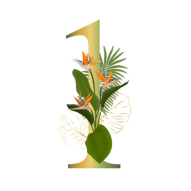 热带花卉的数字。图片下载
