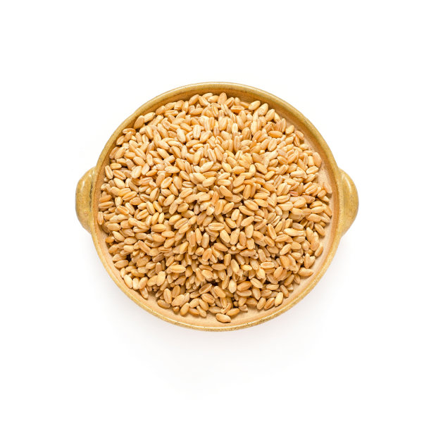 在白色背景的陶瓷碗中干燥的有机棕色小麦种子堆图片下载