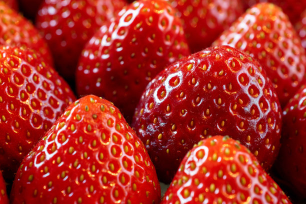 近距离观察成熟的红草莓。微距镜头。图片下载