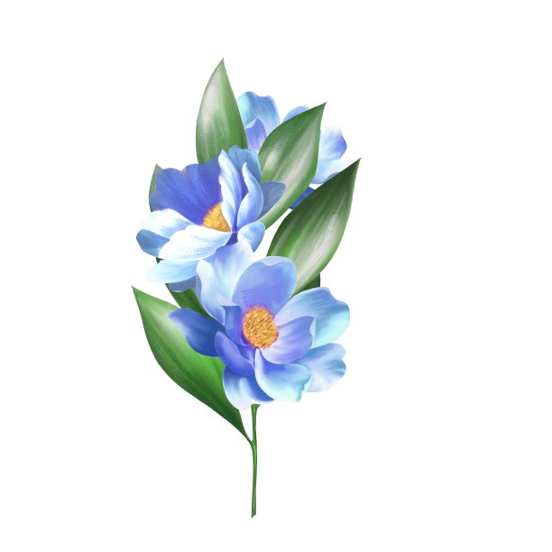 植物的分支。蓝色花朵和叶子的插图图片下载