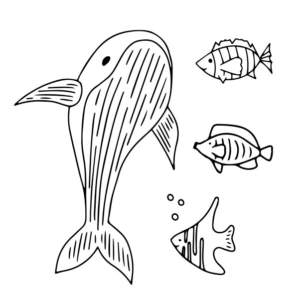 为印刷设计的涂鸦黑色收集，着色书。矢量孤立插图集。孩子的图形。海洋生物，海洋和海洋哺乳动物，鲸鱼和鱼类，海洋设计元素图片下载