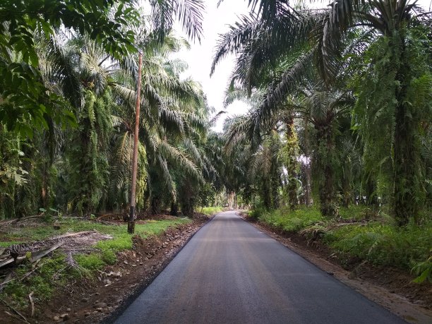 仍在工作图片下载
